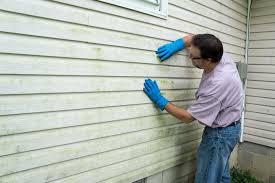 Affordable Siding Repair and Maintenance Services in Riverside, ID